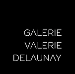 Dominique Torrente expose chez Valérie Delaunay Paris France